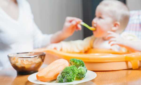 Healthy baby food: what to offer?